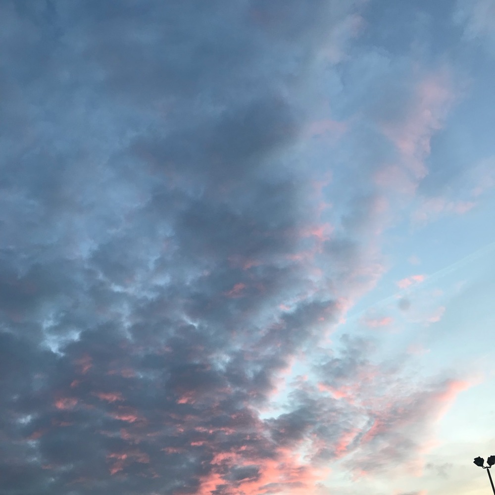 Meet your Posher, Harper